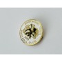 Pin Eastwood Town FC (ENG)