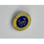 Pin Staines Town FC (ENG)