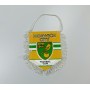 Wimpel Norwich City (ENG