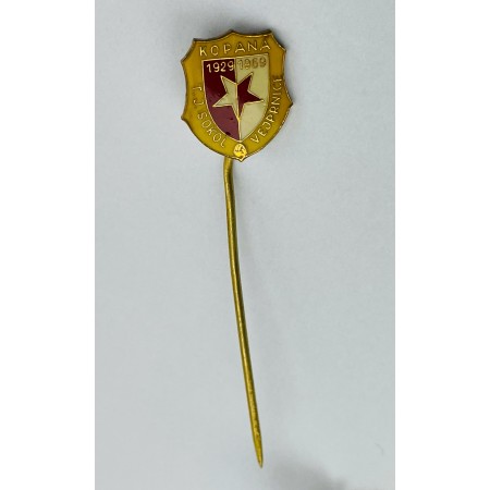 Pin TJ Sokol Vejprnice (CZE)