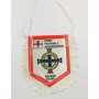 Wimpel Nordirland, Verband Irish Football Association