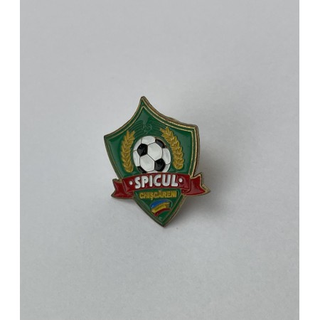 Pin FC Spicul Chișcăreni (MDA)