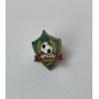 Pin FC Spicul Chișcăreni (MDA)