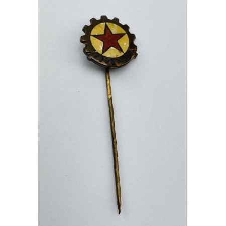 Pin ZJVS Martin (SVK)